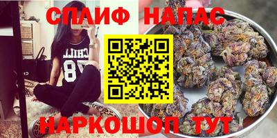 каннабис Ставрополь