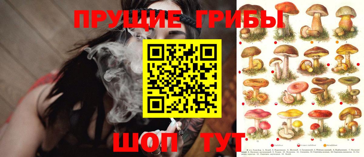 Новоуральск  Псилоцибиновые грибы Psilocybine cubensis  Вход с VPN 